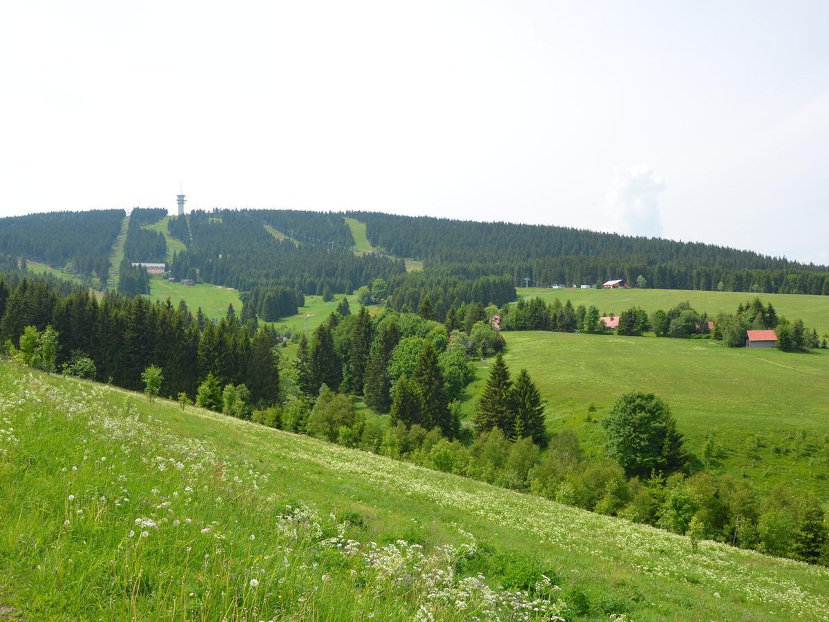 Nice Holiday Home In The Ore Mountains Only 500M From The Chairlift Loučná pod Klínovcem 외부 사진